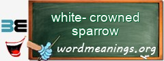 WordMeaning blackboard for white-crowned sparrow